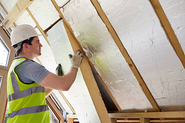 Best Insulation Contractors for Homes  in Belmont, WI